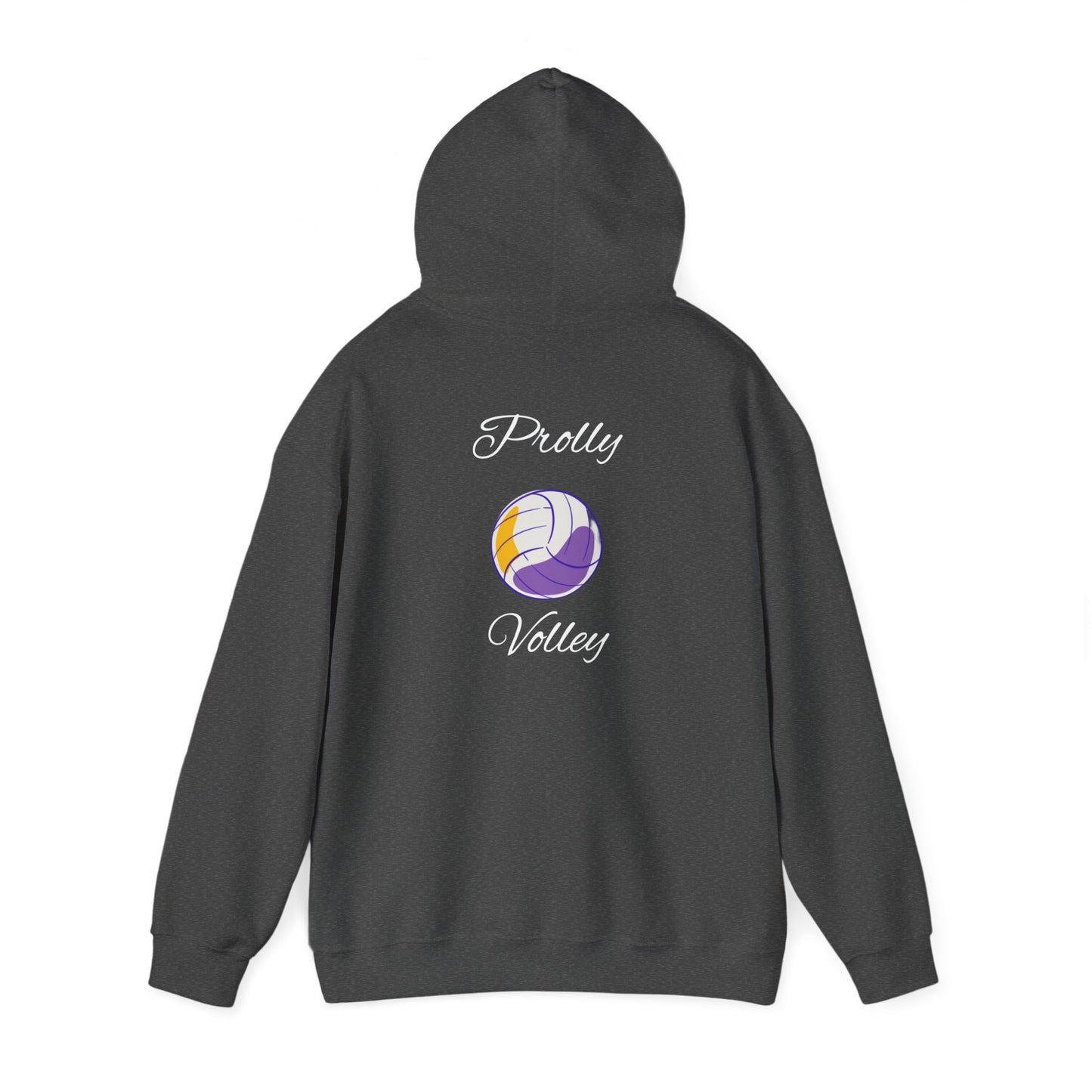 Prolly Volley Unisex Heavy Blend™ Hooded Sweatshirt