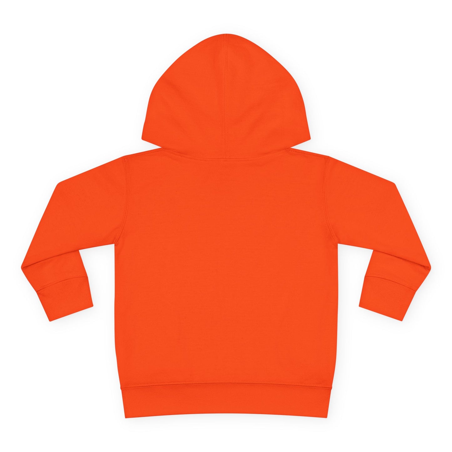 NYC Toddler Pullover Fleece Hoodie
