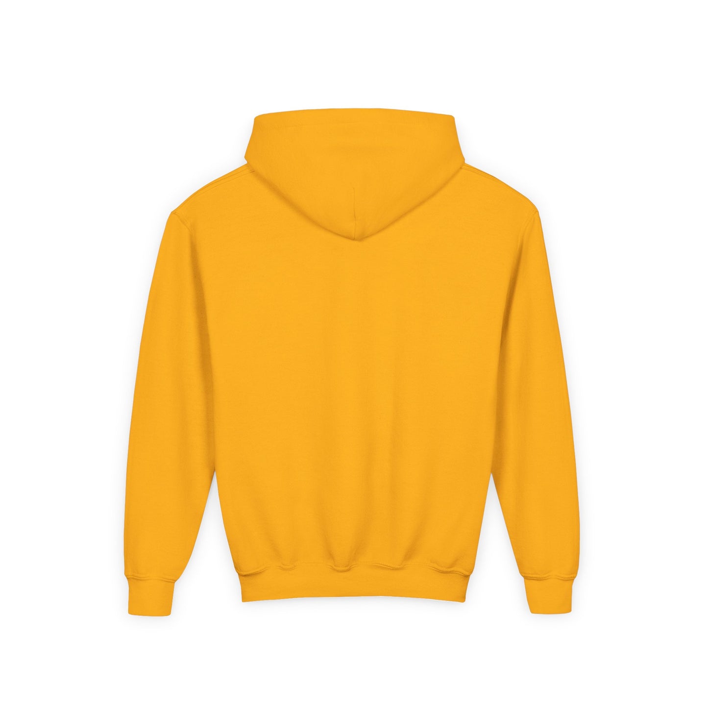 Youth Hoodie – Sunflower Field Sunset Graphic