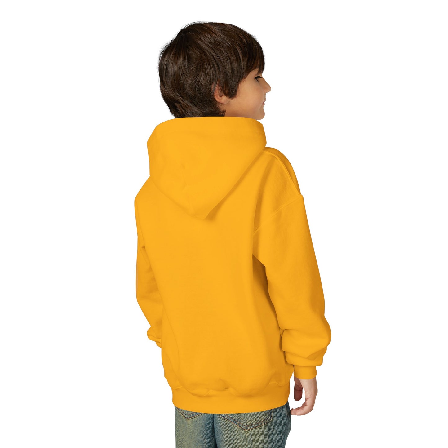 Youth Hoodie – Sunflower Field Sunset Graphic