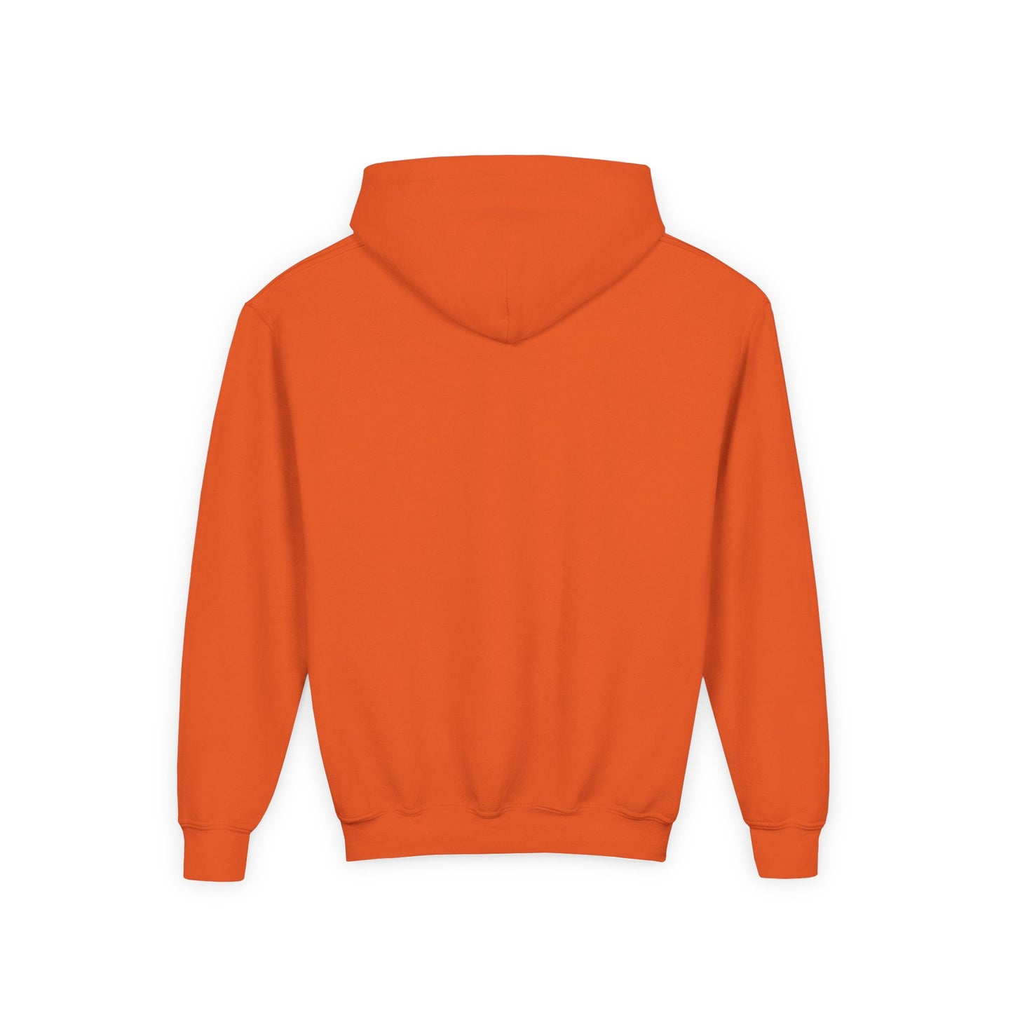 Youth Hoodie – Sunflower Field Sunset Graphic